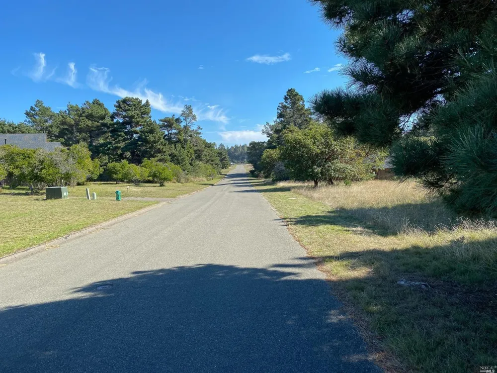 41179 Deer Trail The Sea Ranch, CA 95497