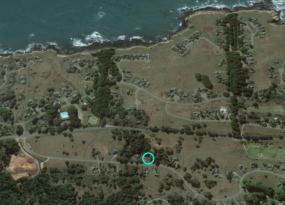 41179 Deer Trail The Sea Ranch, CA 95497
