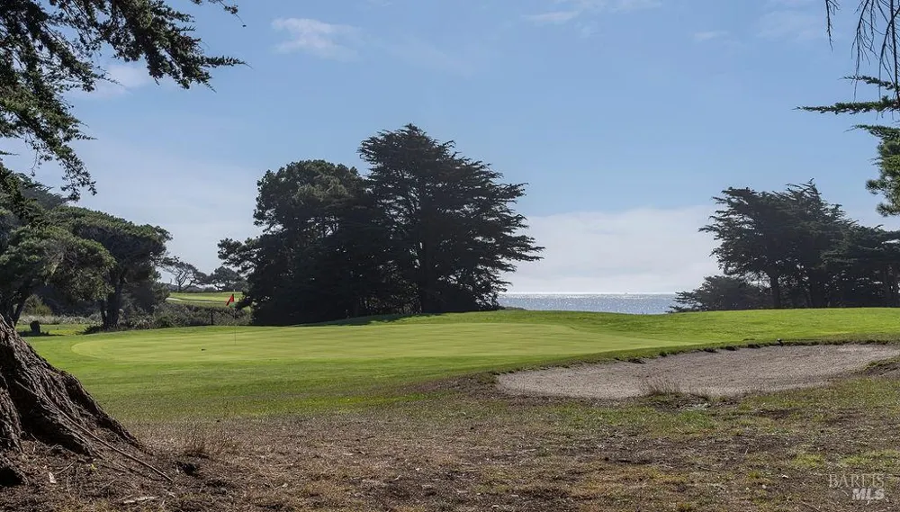41179 Deer Trail The Sea Ranch, CA 95497