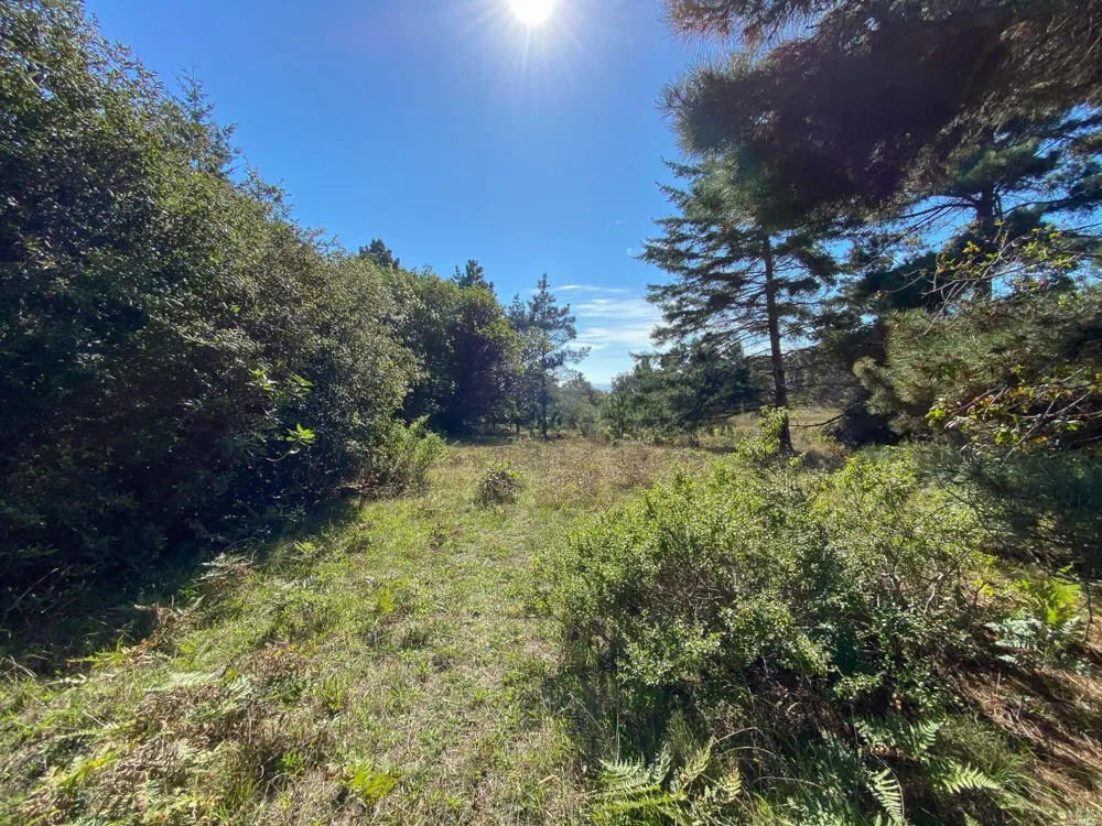 41179 Deer Trail The Sea Ranch, CA 95497
