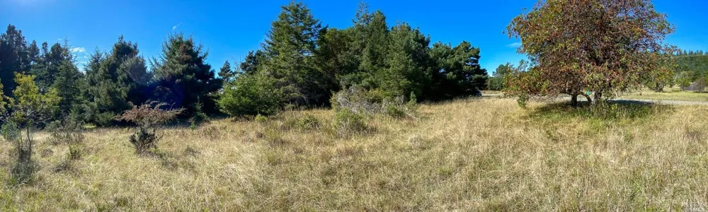 41179 Deer Trail The Sea Ranch, CA 95497