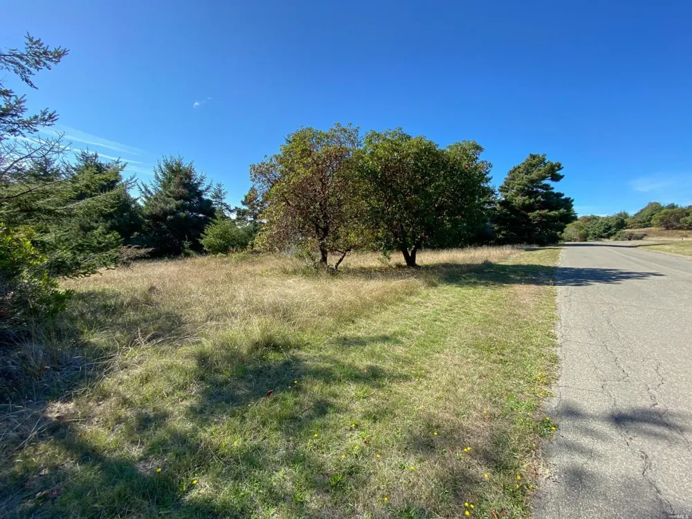 41179 Deer Trail The Sea Ranch, CA 95497