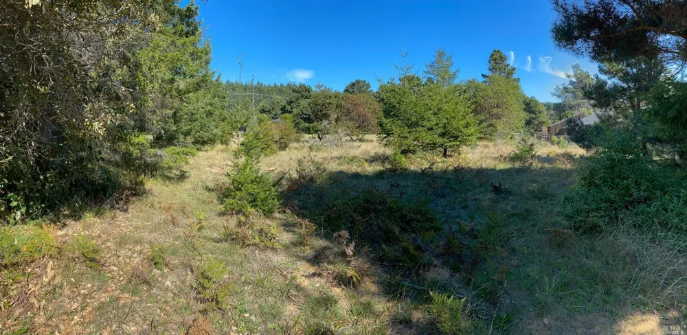 41179 Deer Trail The Sea Ranch, CA 95497