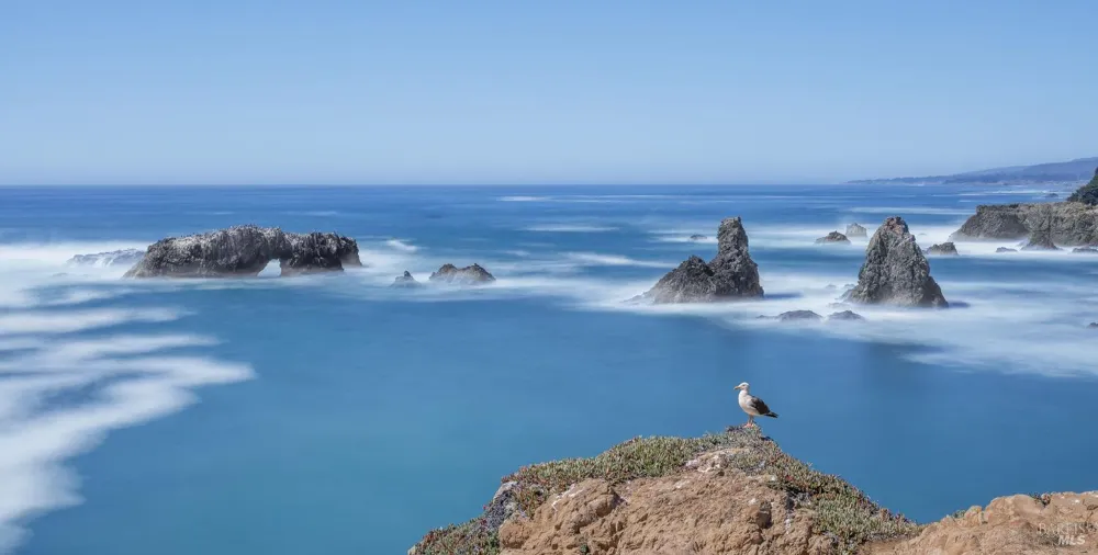 41179 Deer Trail The Sea Ranch, CA 95497