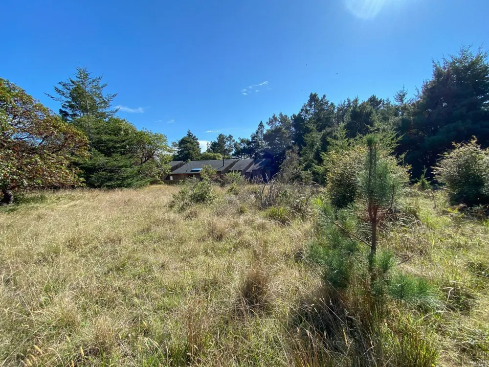 41179 Deer Trail The Sea Ranch, CA 95497