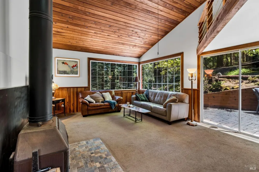 21731 Monte Vista Terrace Monte Rio, CA 95462