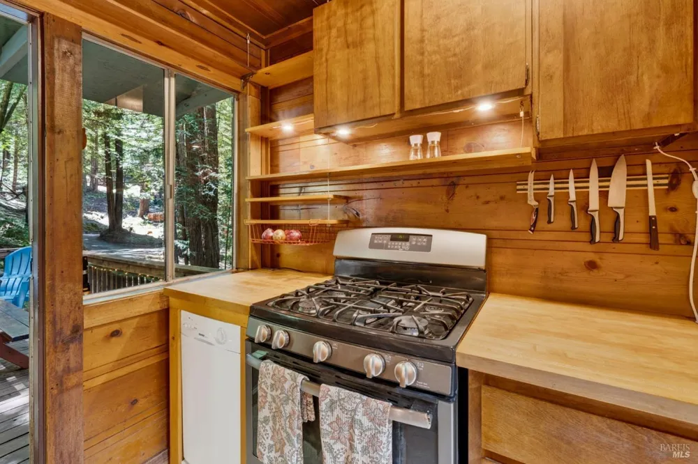 21731 Monte Vista Terrace Monte Rio, CA 95462