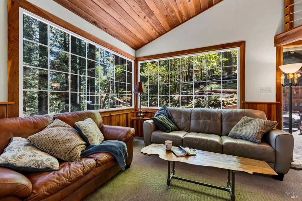 21731 Monte Vista Terrace Monte Rio, CA 95462