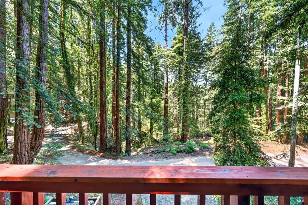 21731 Monte Vista Terrace Monte Rio, CA 95462