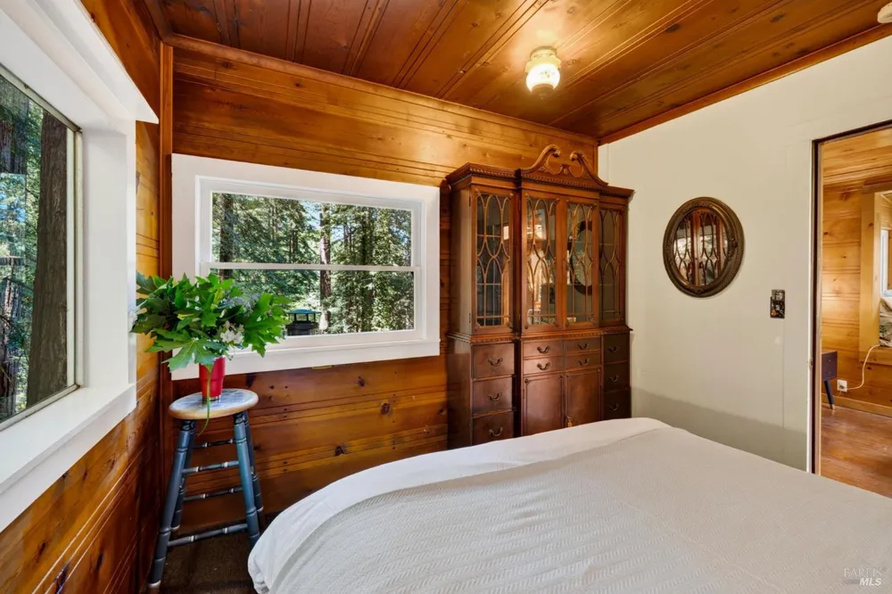 21731 Monte Vista Terrace Monte Rio, CA 95462