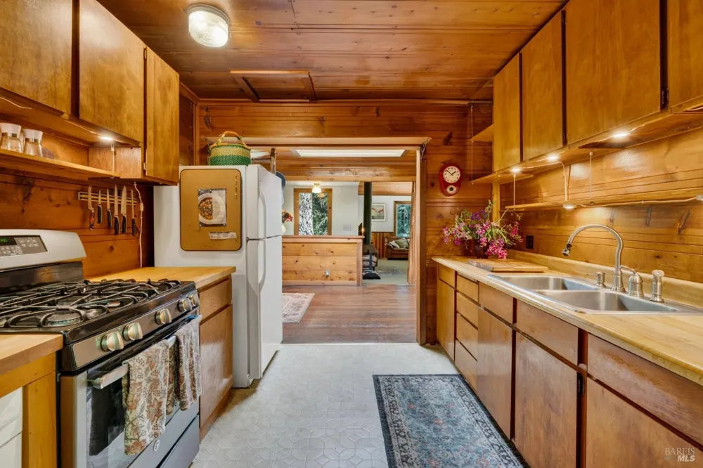 21731 Monte Vista Terrace Monte Rio, CA 95462