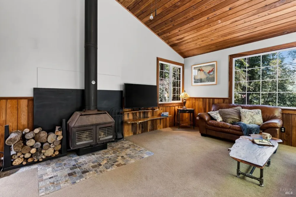 21731 Monte Vista Terrace Monte Rio, CA 95462