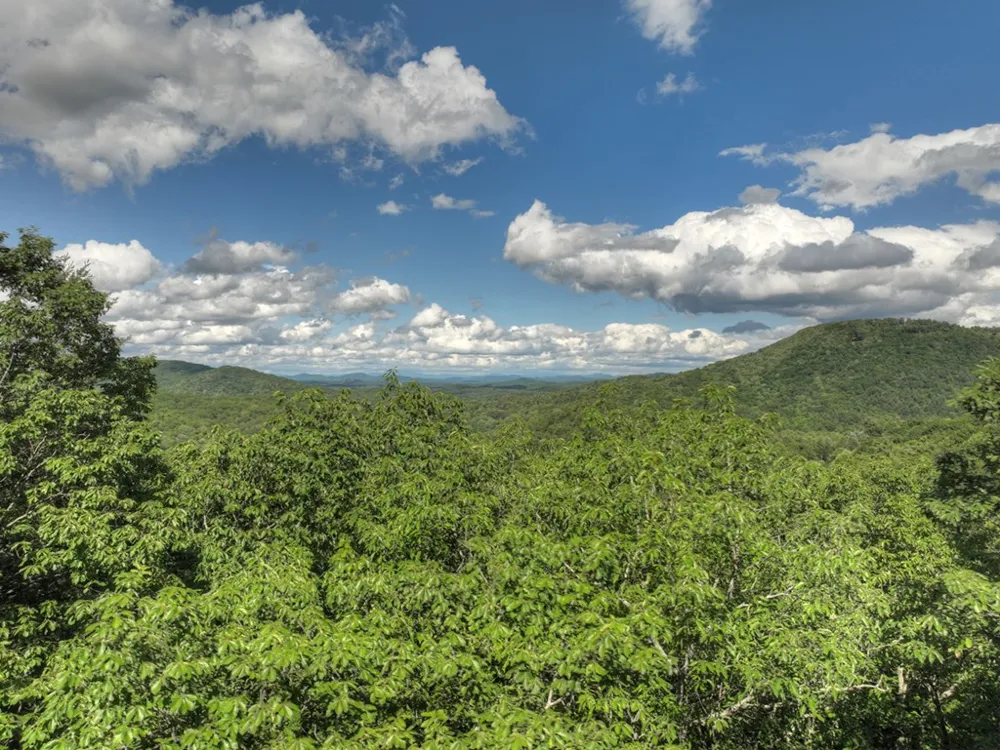 0 Menagerie Ridge Epworth, GA 30541
