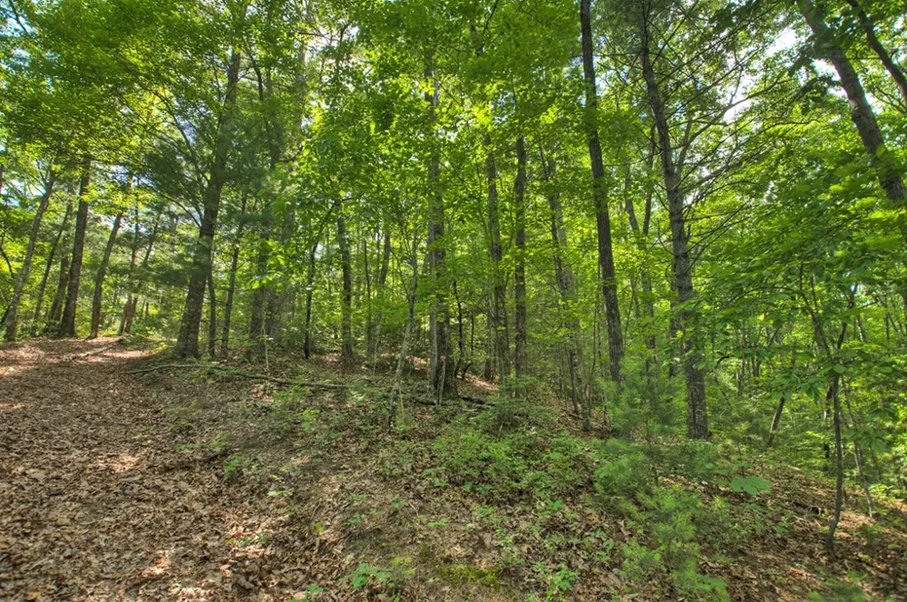 0 Menagerie Ridge Epworth, GA 30541