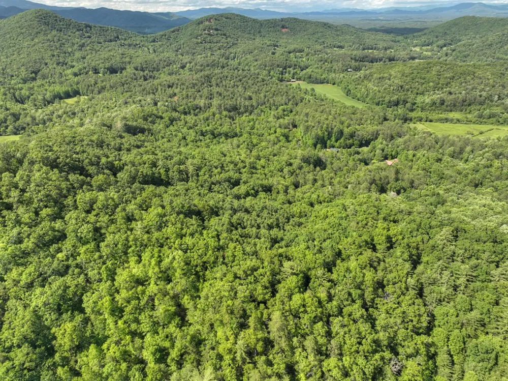 0 Menagerie Ridge Epworth, GA 30541
