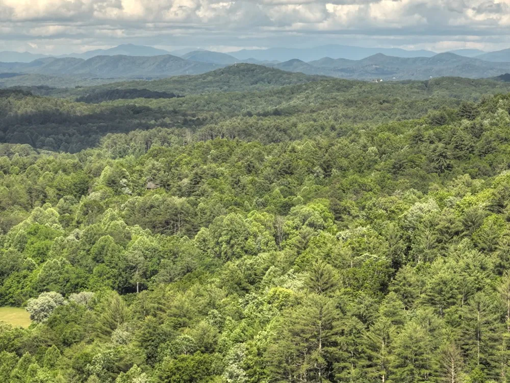0 Menagerie Ridge Epworth, GA 30541