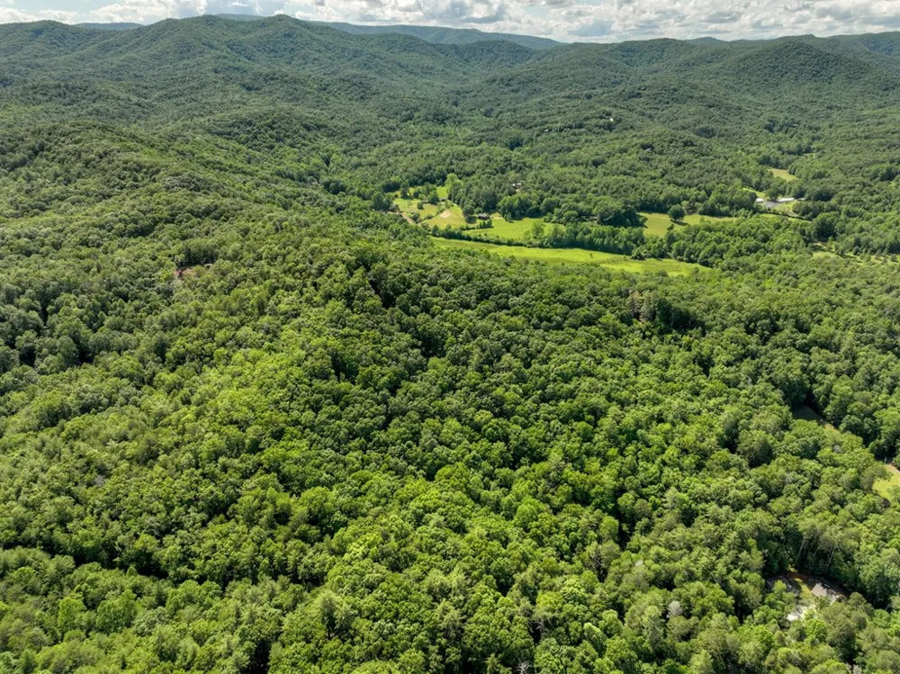 0 Menagerie Ridge Epworth, GA 30541