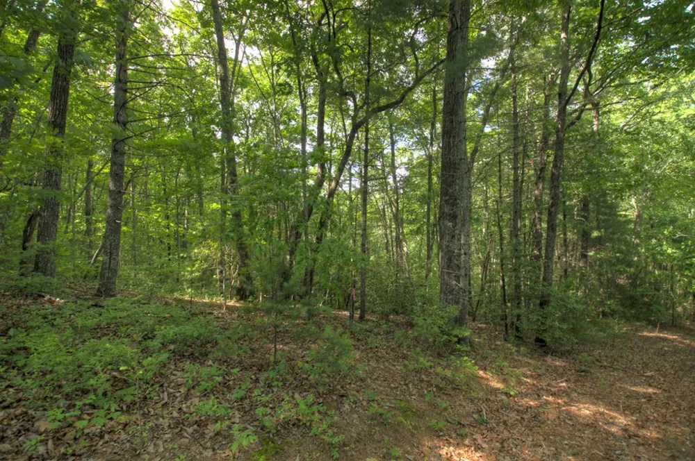 0 Menagerie Ridge Epworth, GA 30541