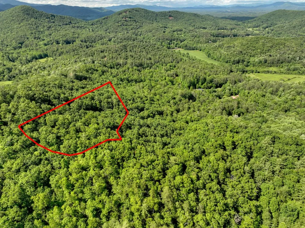 0 Menagerie Ridge Epworth, GA 30541