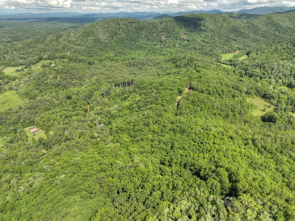 0 Menagerie Ridge Epworth, GA 30541