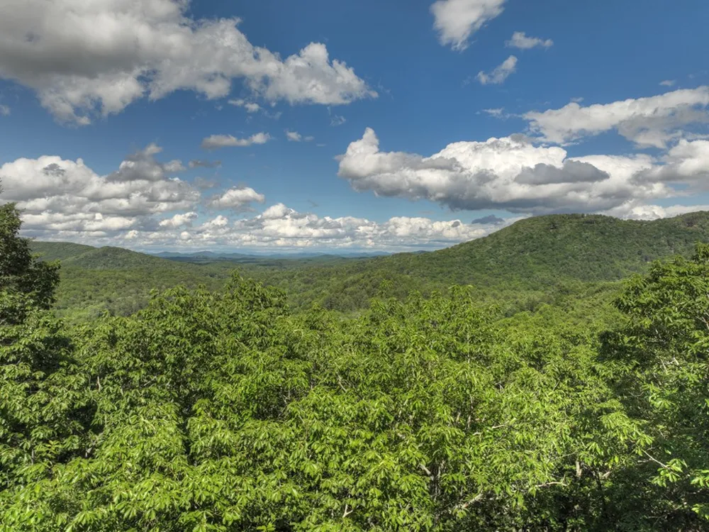 0 Menagerie Ridge Epworth, GA 30541