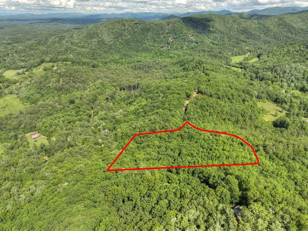 0 Menagerie Ridge Epworth, GA 30541
