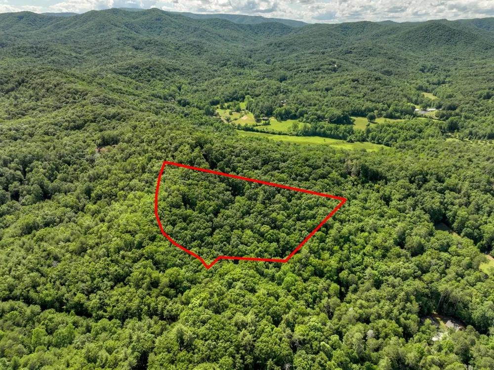 0 Menagerie Ridge Epworth, GA 30541
