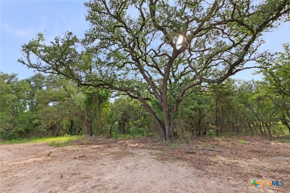12200 Private Road 3641 Kempner, TX 76539