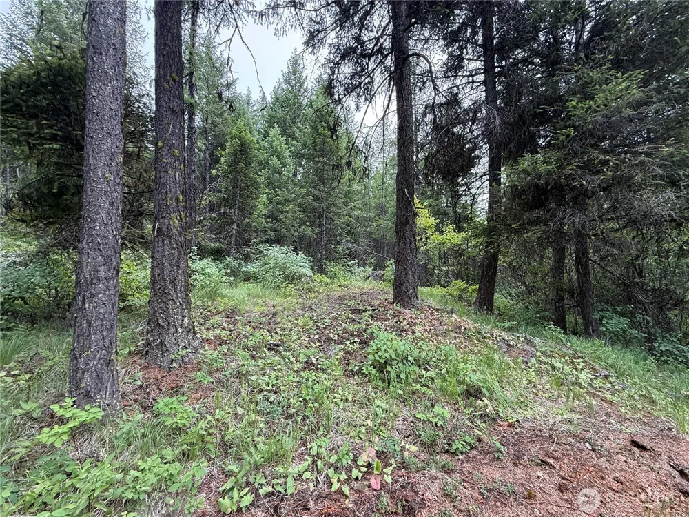 0 Mule Deer Road Republic, WA 99166