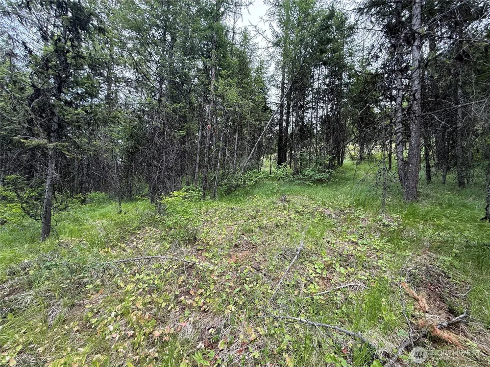 0 Mule Deer Road Republic, WA 99166