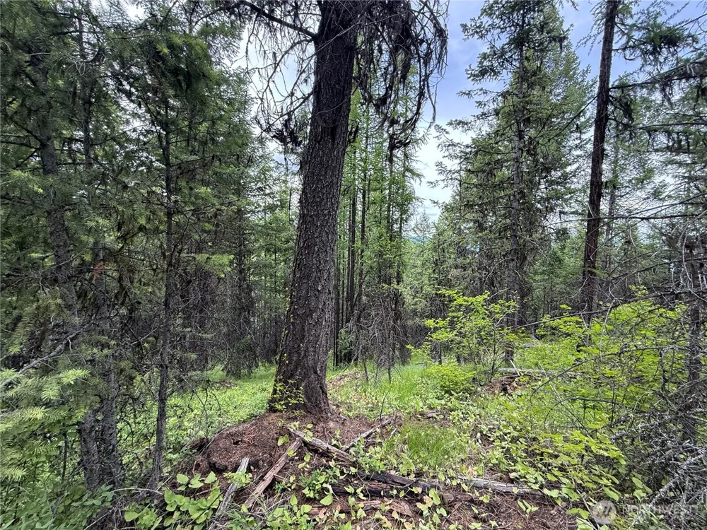 0 Mule Deer Road Republic, WA 99166