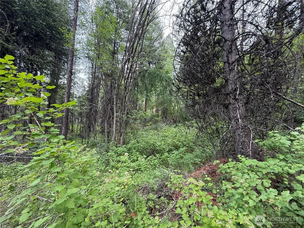 0 Mule Deer Road Republic, WA 99166