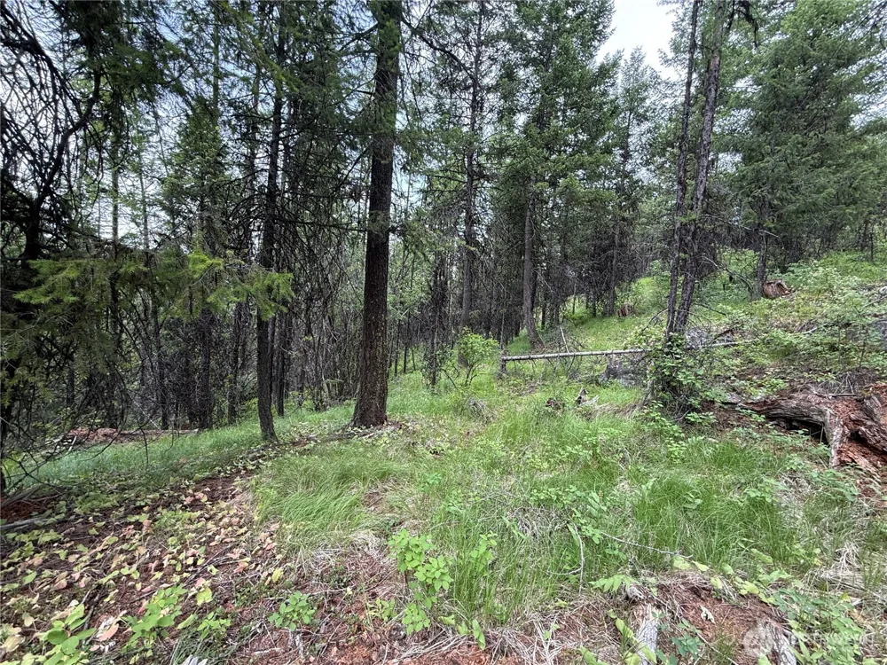 0 Mule Deer Road Republic, WA 99166