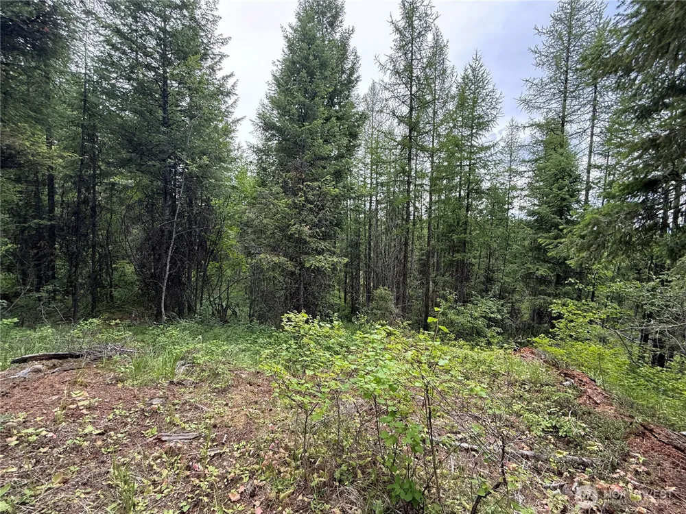 0 Mule Deer Road Republic, WA 99166