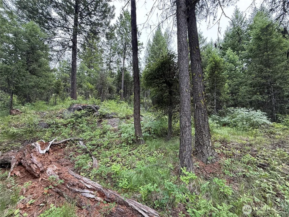 0 Mule Deer Road Republic, WA 99166