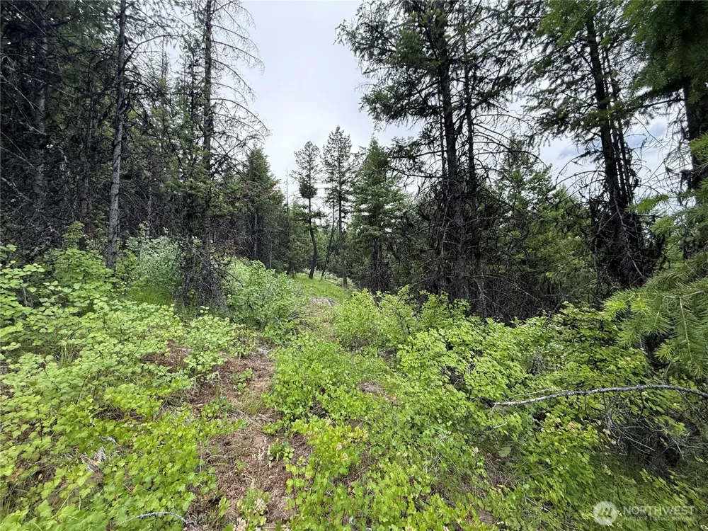 0 Mule Deer Road Republic, WA 99166