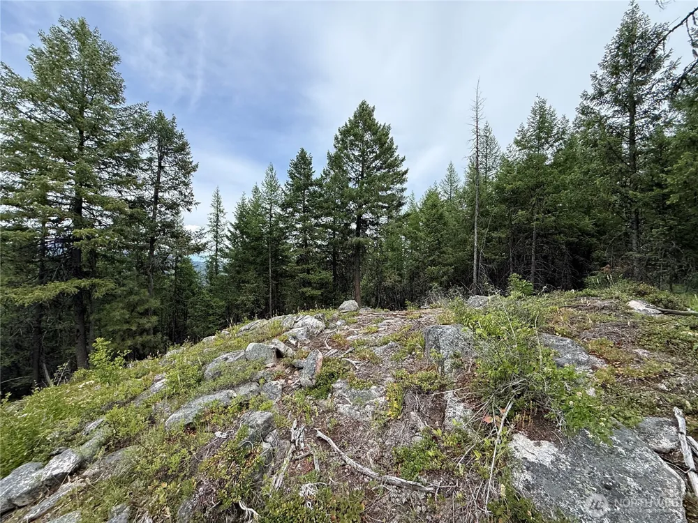 0 Mule Deer Road Republic, WA 99166