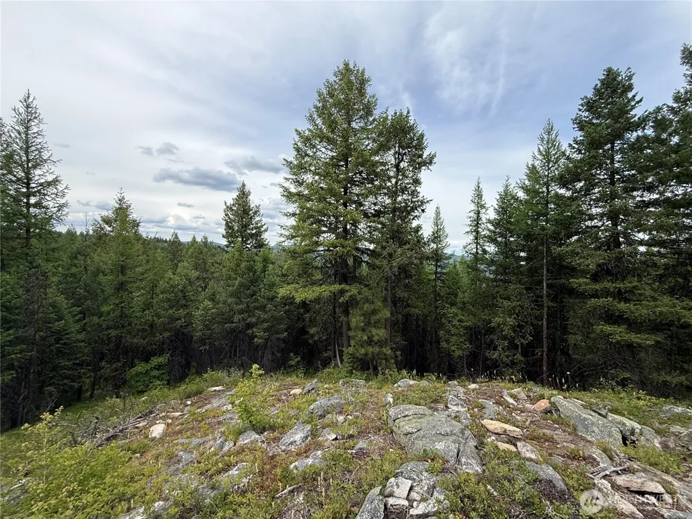 0 Mule Deer Road Republic, WA 99166