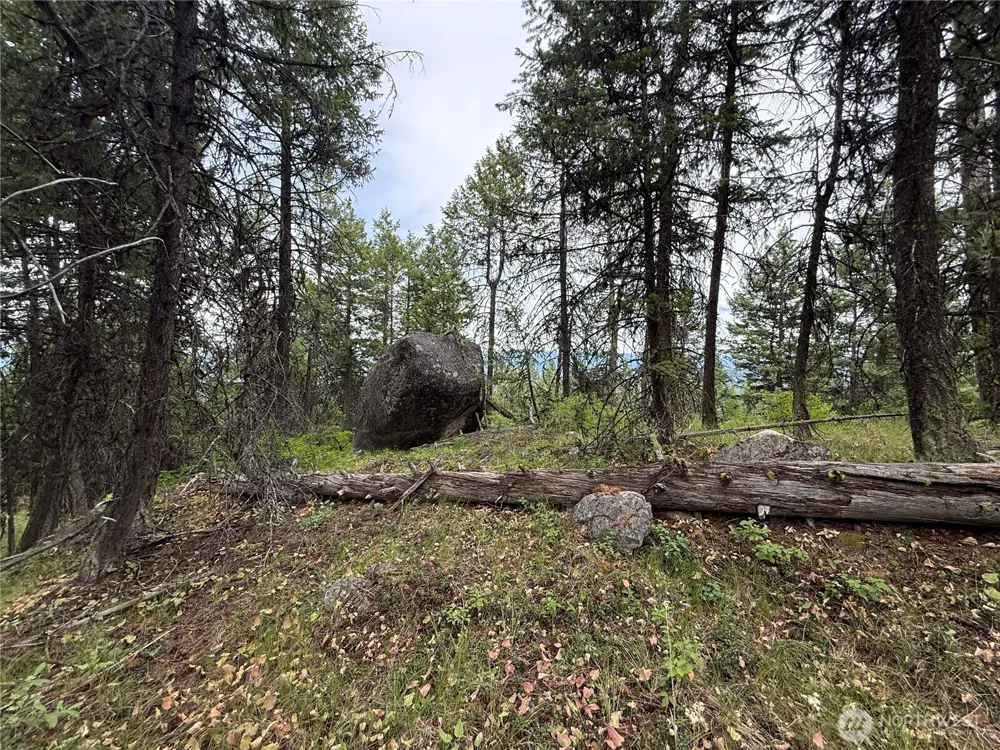0 Mule Deer Road Republic, WA 99166