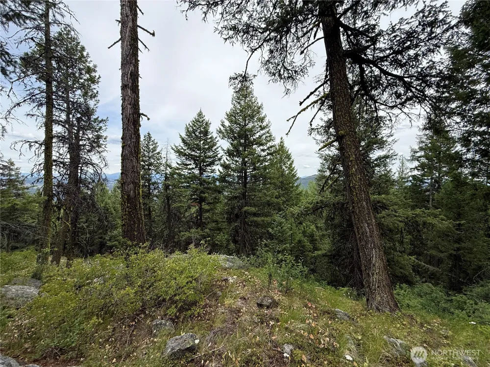 0 Mule Deer Road Republic, WA 99166