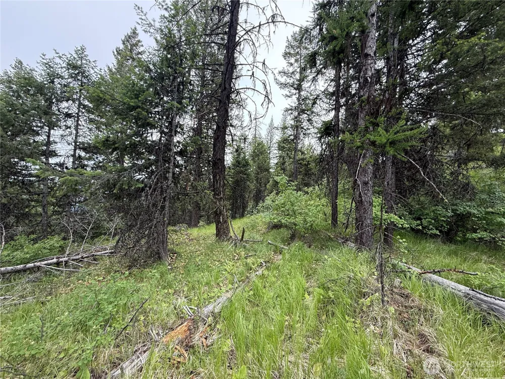 0 Mule Deer Road Republic, WA 99166