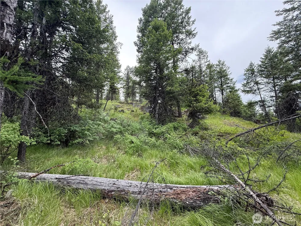 0 Mule Deer Road Republic, WA 99166