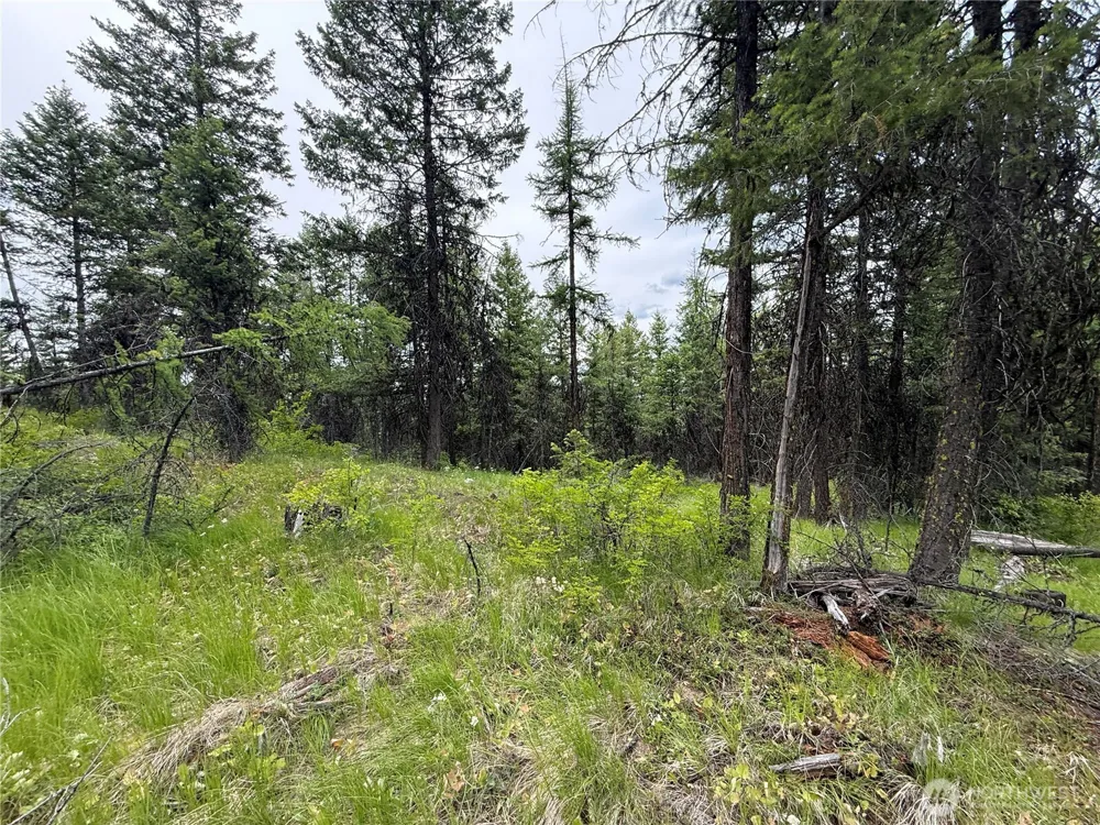 0 Mule Deer Road Republic, WA 99166