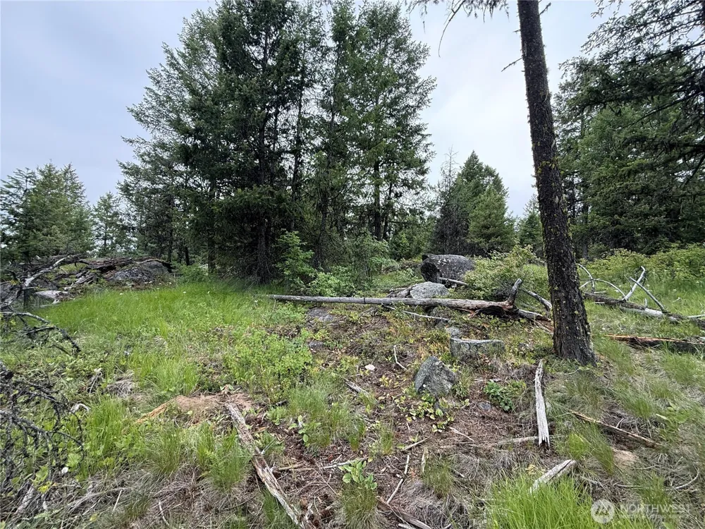 0 Mule Deer Road Republic, WA 99166