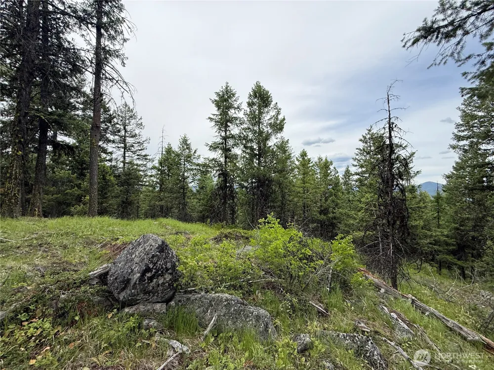 0 Mule Deer Road Republic, WA 99166