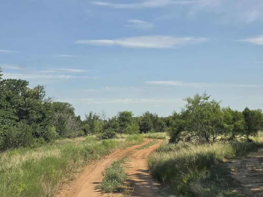 1 County Road 2225 Iredell, TX 76649