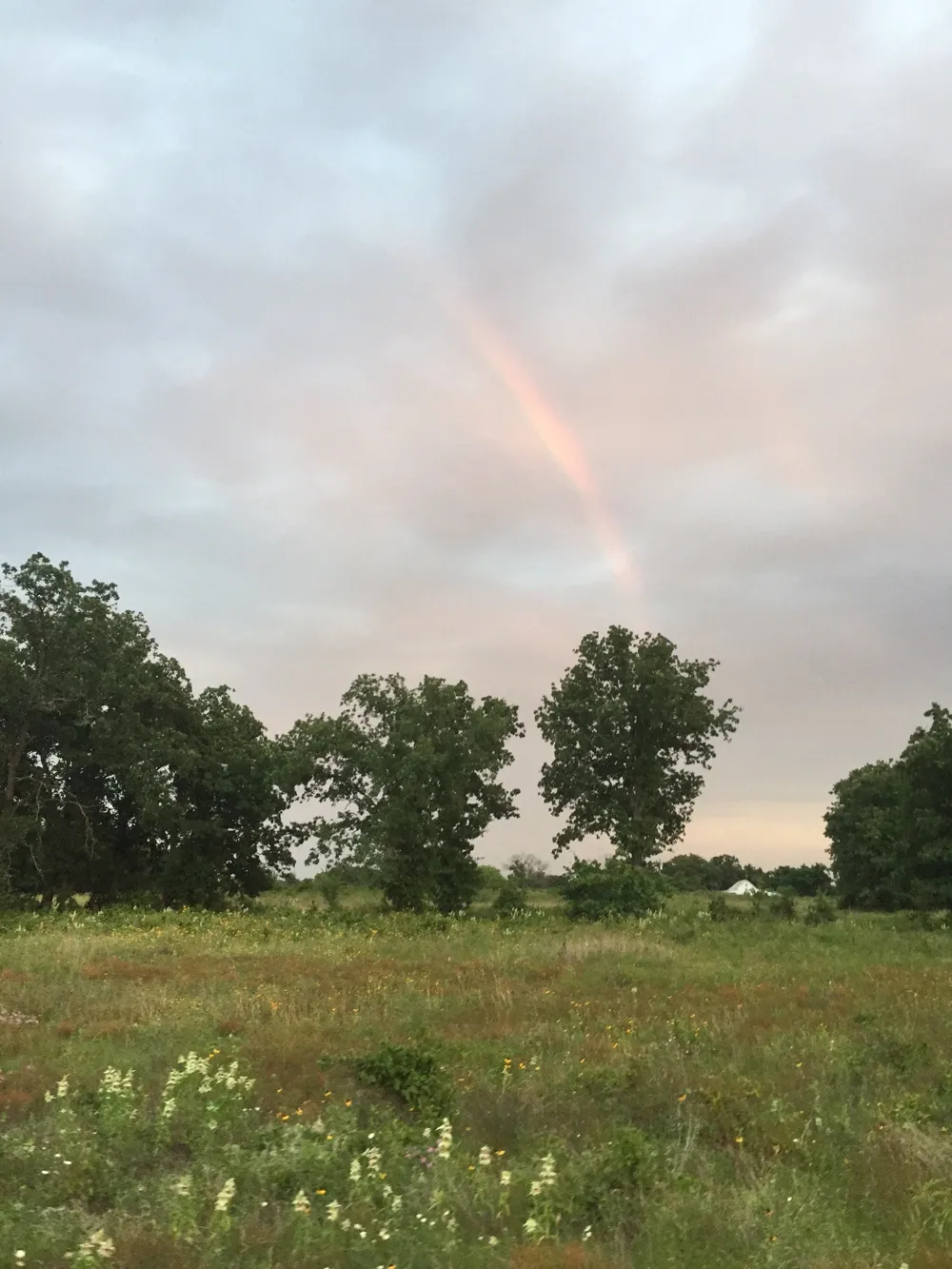 1 County Road 2225 Iredell, TX 76649