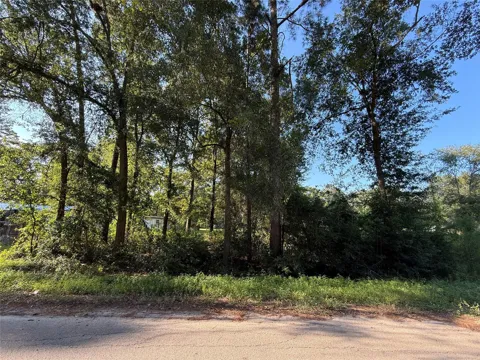Spanish Oaks Dr