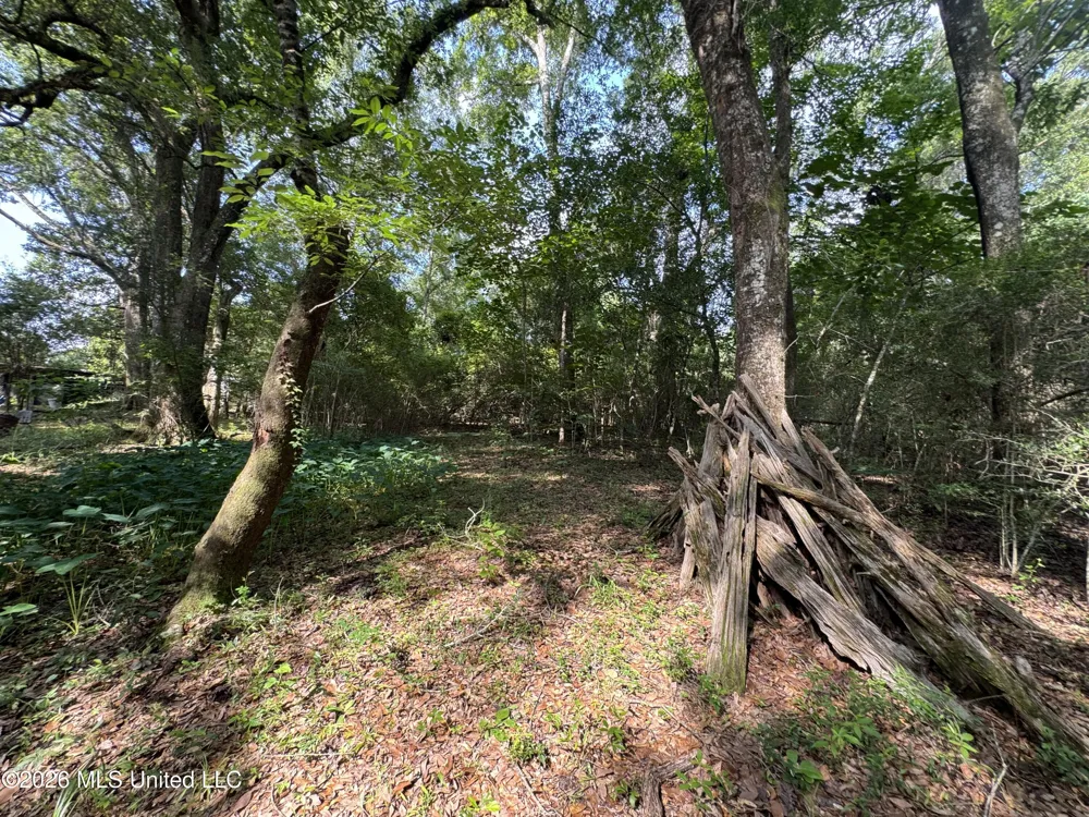 2980 Dwyer Branch Road Vancleave, MS 39565