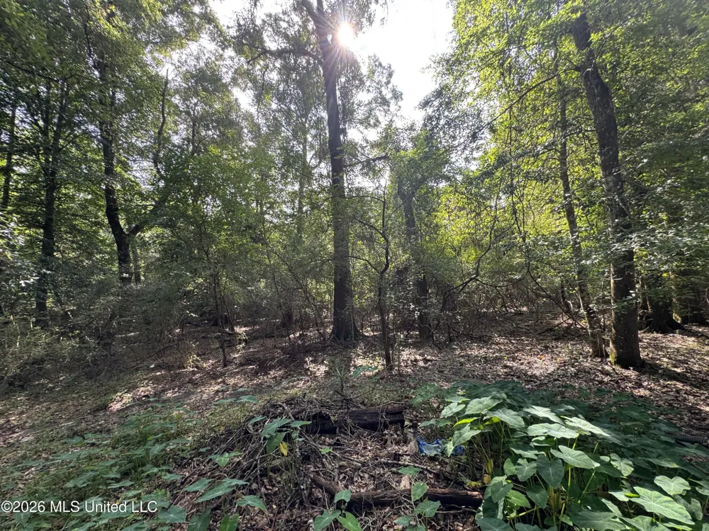 2980 Dwyer Branch Road Vancleave, MS 39565